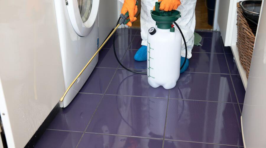 Why choose Belg Rave Pest Experts for pest control in Belgrave, Melbourne